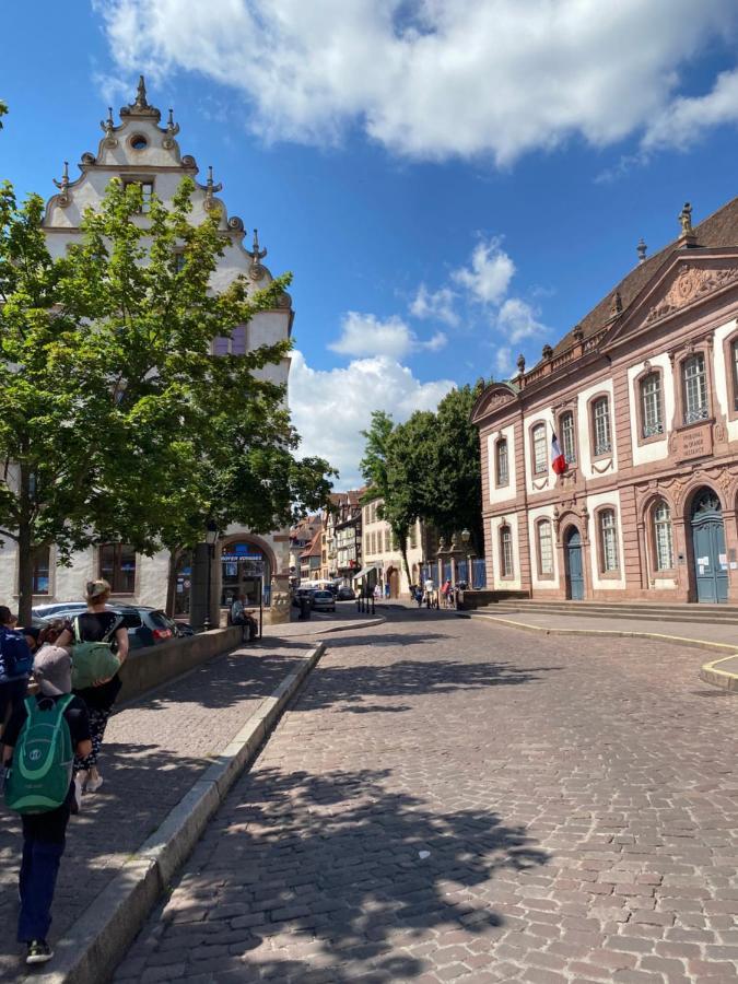 Hello Colmar Luxury Petite Venise 7 Pers Parking Velos Apartment Ngoại thất bức ảnh